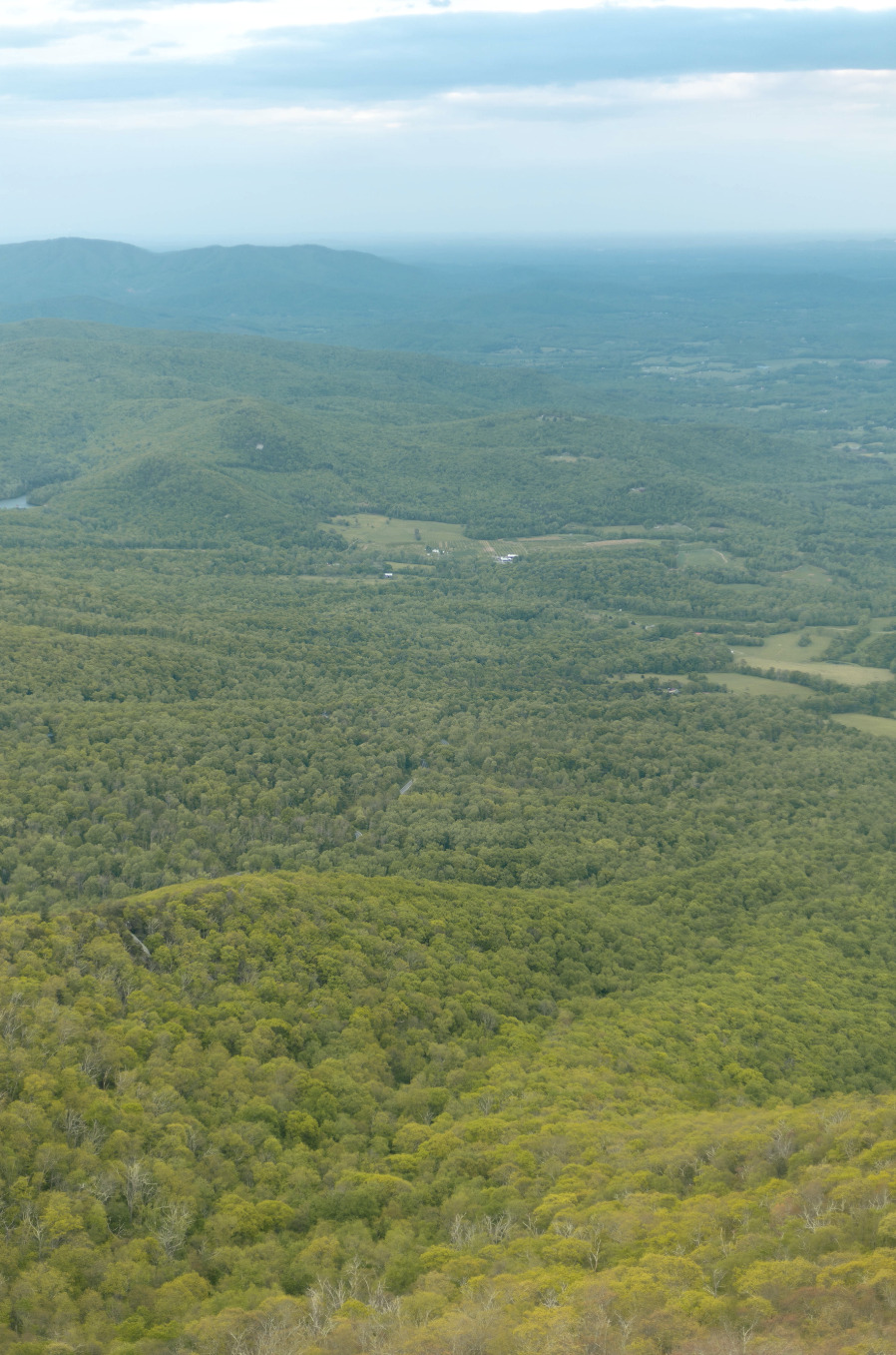 Featured image for “SHARP TOP”